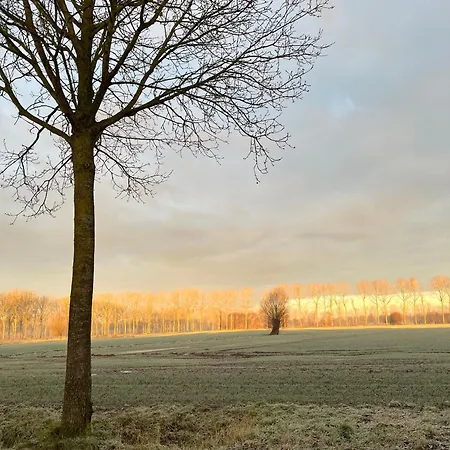 De Weide Wereld Bed & Breakfast